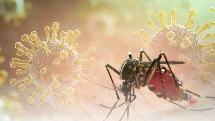Chikungunya có thể gây biến chứng nghiêm trọng. Ảnh: Getty Images
