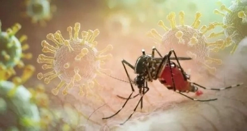 Các ca bệnh Chikungunya được ghi nhận ở nhiều quốc gia. Ảnh: Getty Images
