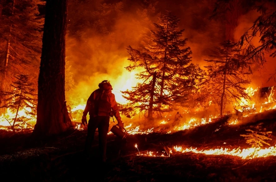 Cháy rừng ở California. Ảnh: Reuters