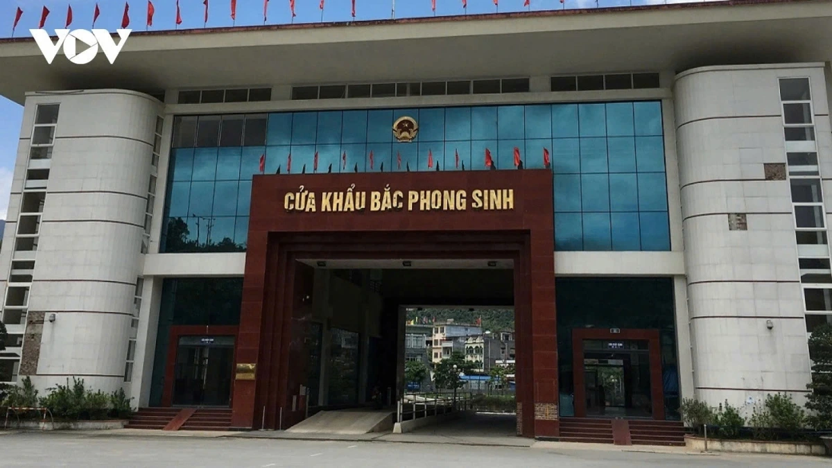Tính đến ngày 25/7/2025, tổng kim ngạch xuất nhập khẩu hàng hóa qua cửa khẩu Bắc Phong Sinh (xã Quảng Đức, tỉnh Quảng Ninh) đạt hơn 46,3 triệu USD