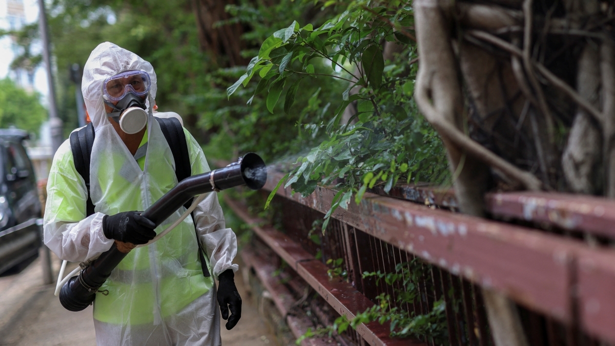 Dịch sốt Chikungunya lan rộng, Trung Quốc nâng mức cảnh báo (Ảnh minh họa: Reuters).