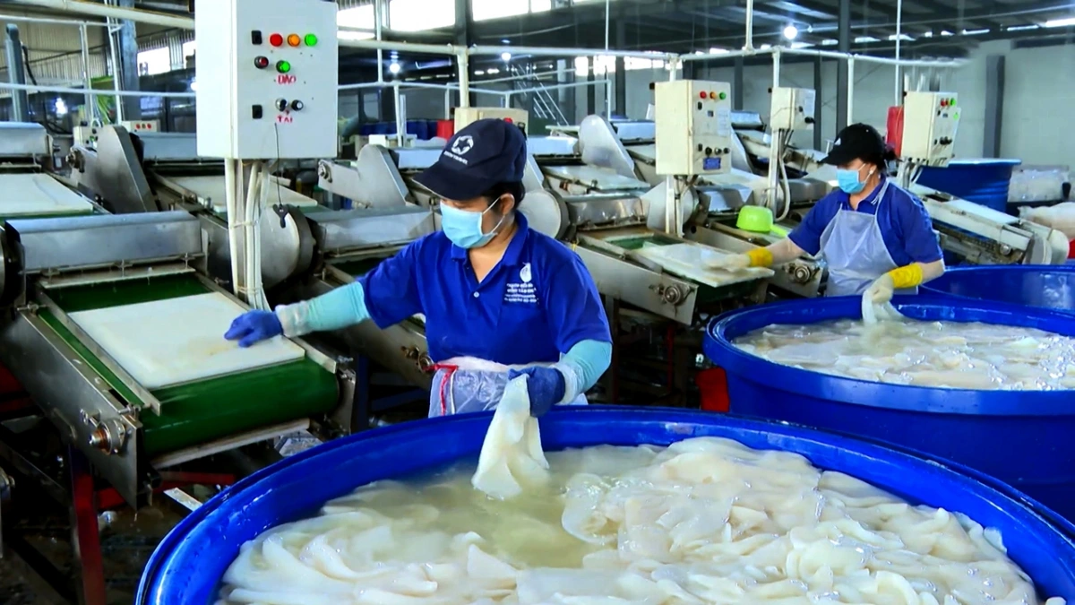 Xưởng sản xuất thạch dừa của Công ty TNHH MTV Minh Tâm, phường Bến Tre, tỉnh Vĩnh Long