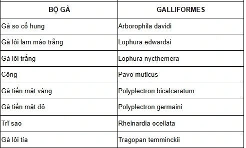Bộ gà trong Danh mục Thực vật rừng, động vật rừng nguy cấp, quý, hiếm