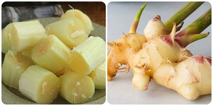 Mía nấu với gừng là thức uống rất tốt cho sức khoẻ