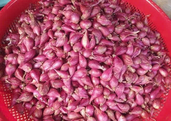 Hành tím mang lại nhiều lợi ích bất ngờ cho sức khỏe