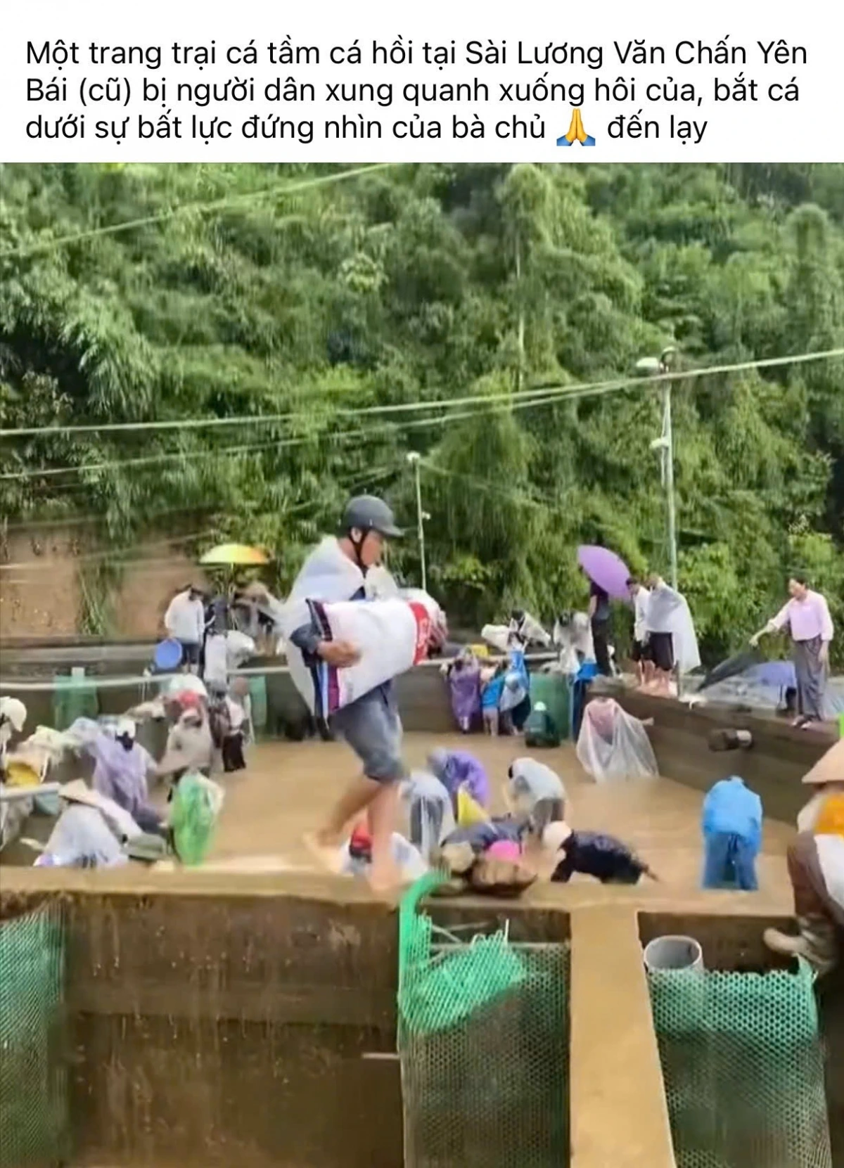 Thông tin đăng trên mạng xã hội