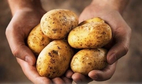 Nên lựa chọn loại khoai tây phù hợp với bệnh nhân tiểu đường