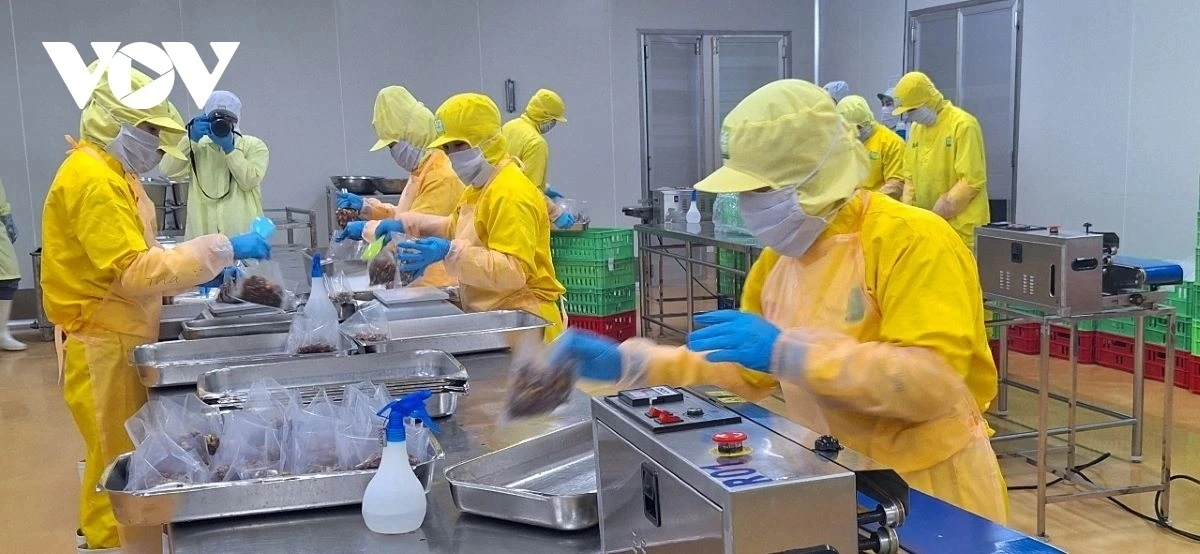 khu vực kinh tế tư nhân chiếm 82,07% tổng lao động trong nền kinh tế