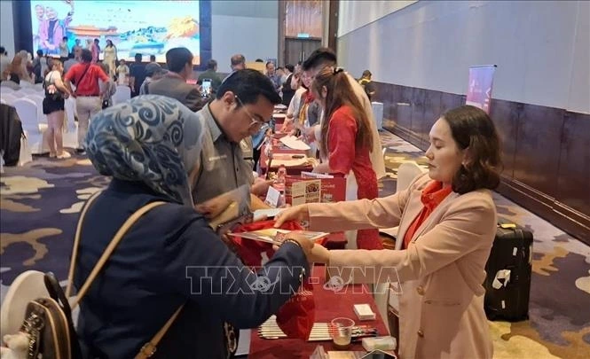 Tourism businesses from both Vietnam and Malaysia explore opportunities for collaboration (Photo: VNA)