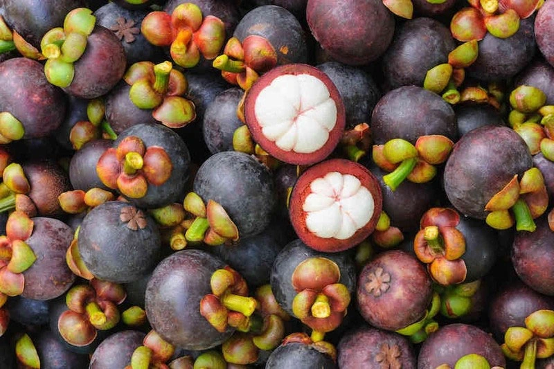 Không chỉ là loại trái cây ngon, măng cụt còn là một dược liệu quý giá trong phòng và hỗ trợ điều trị một số bệnh