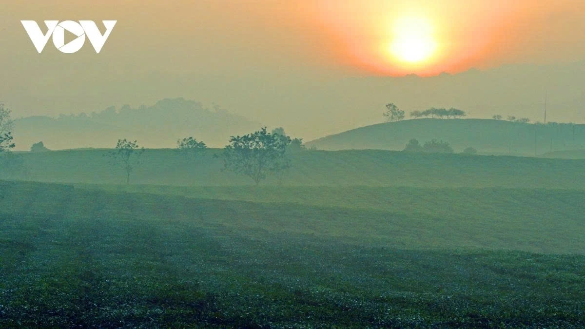 The sight of the tea hills under the mist at dawn proves to be enchanting.