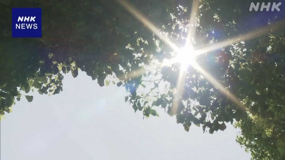 Nắng nóng chói chang tại Nhật Bản.