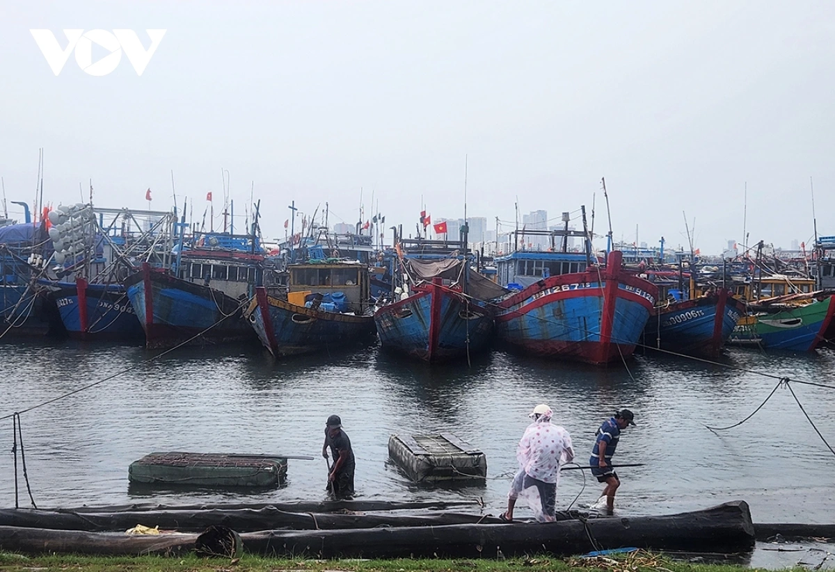 Ngư dân chằng néo kỹ các tàu cá neo đậu ở âu thuyền Thọ Quang
