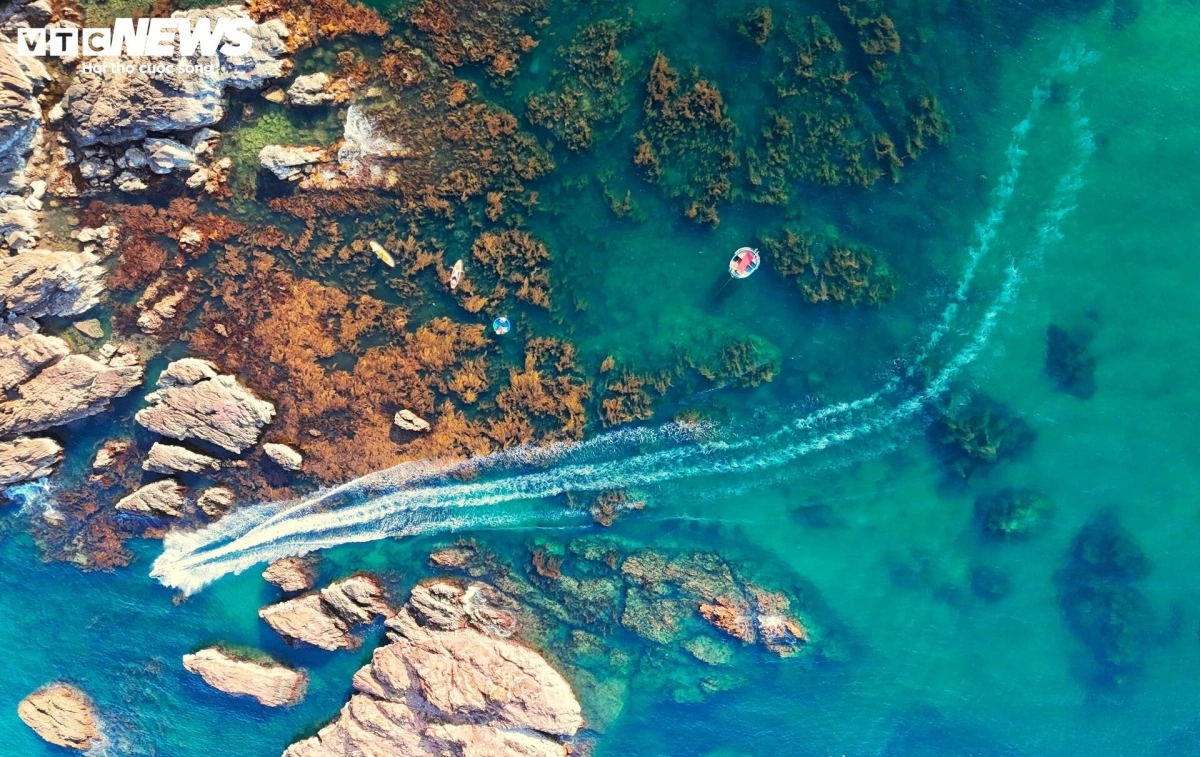 Vibrant coral reefs, swirling schools of fish, and a thriving marine ecosystem await discovery in the coastal waters of Nhon Ly (Gia Lai) and Hon Yen (Dak Lak).