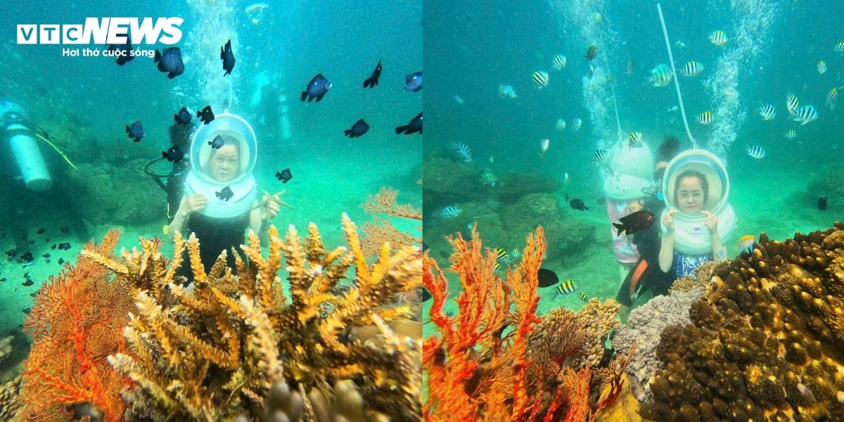Nhon Ly continues to make active efforts to conserve its coral reefs, encouraging every visitor to play a part in protecting these fragile and beautiful ecosystems.