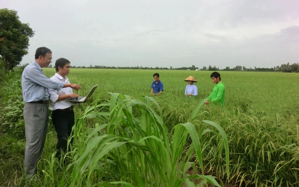 TS Nguyễn Huy Thông đi thực địa tại An Giang. Nguồn: NVCC