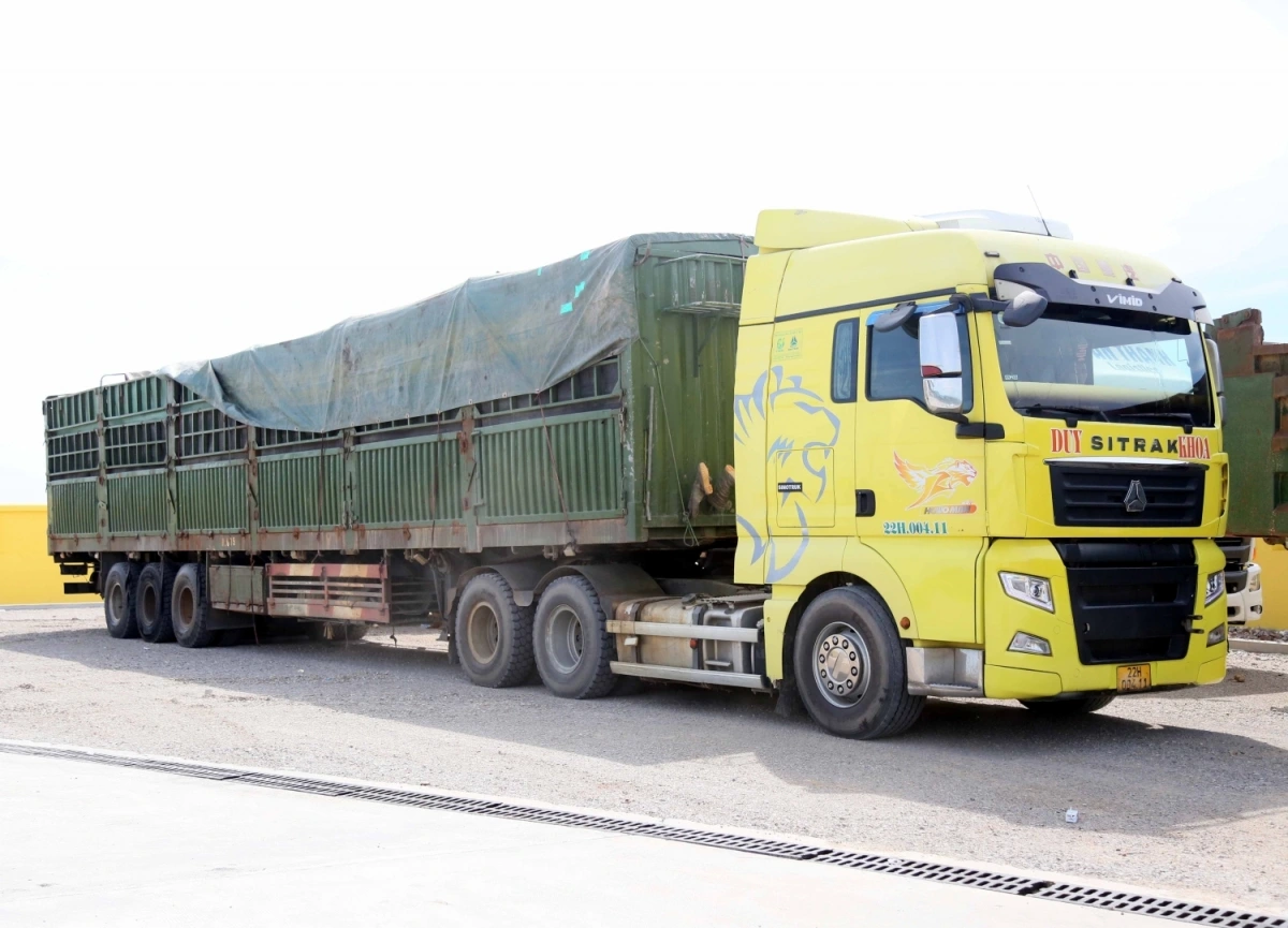 Phương tiện vi phạm tải trọng