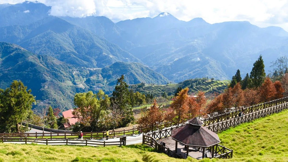 Qingjing được bao quanh bởi những đồng cỏ xanh mướt trải dài theo sườn núi. (Ảnh: Klook)