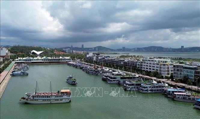 The Ha Long cruise fleet at Tuan Chau International Passenger Port.