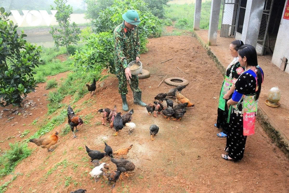 Nguồn vốn thực hiện các chương trình hỗ trợ người dân là công sức, đóng góp của cán bộ, chiến sĩ Đoàn Kinh tế Quốc phòng 4