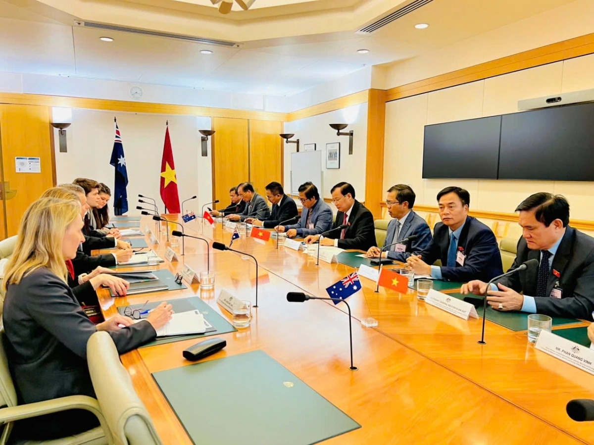 Đoàn công tác của Ủy ban Quốc phòng, An ninh và Đối ngoại làm việc với đồng Bộ trưởng Ngoại giao và Thương mại Australia Matt Thistlewaite.