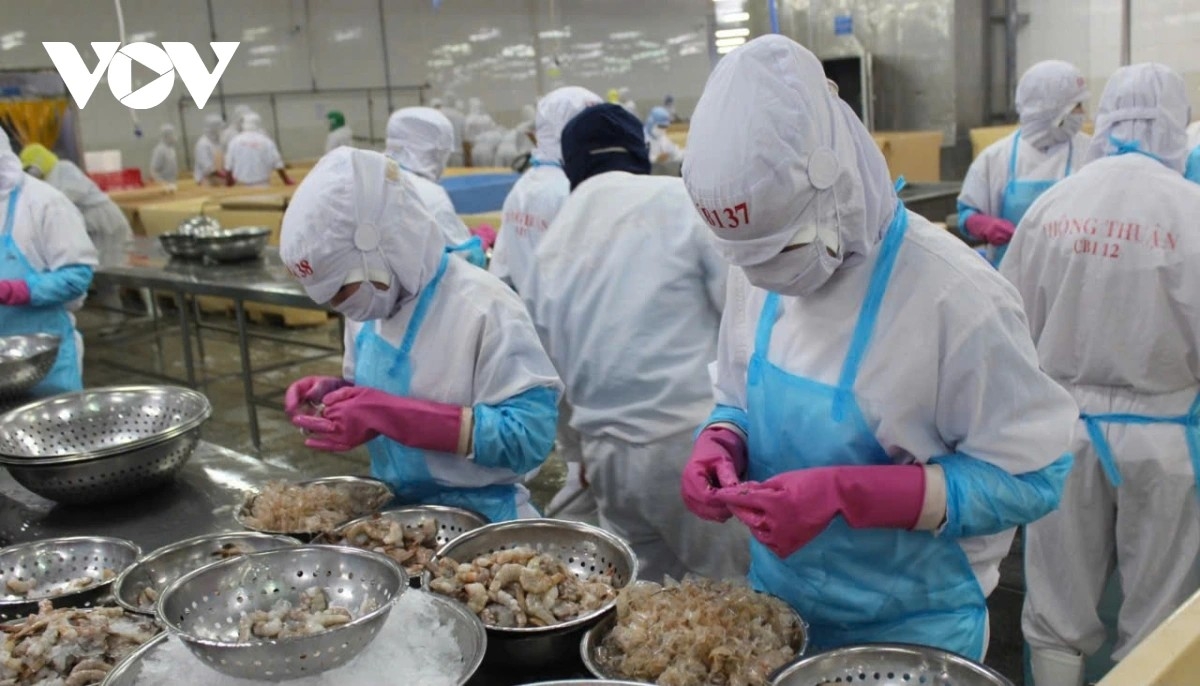 Thị trường nội địa là thị trường mục tiêu trở thành một chiến lược phát triển bền vững đối với các doanh nghiệp sản xuất và xuất khẩu thủy sản. Ảnh minh họa