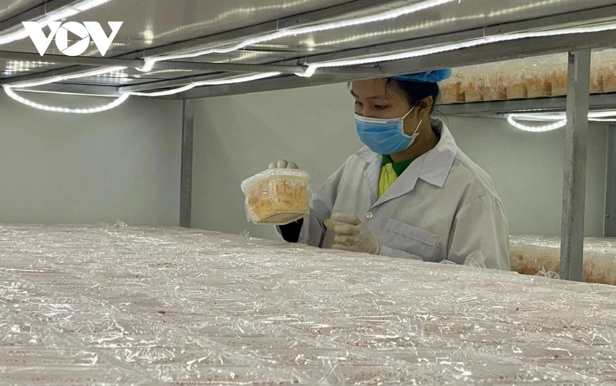 Doanh nghiệp mong muốn gỡ bỏ rào cản để phát triển