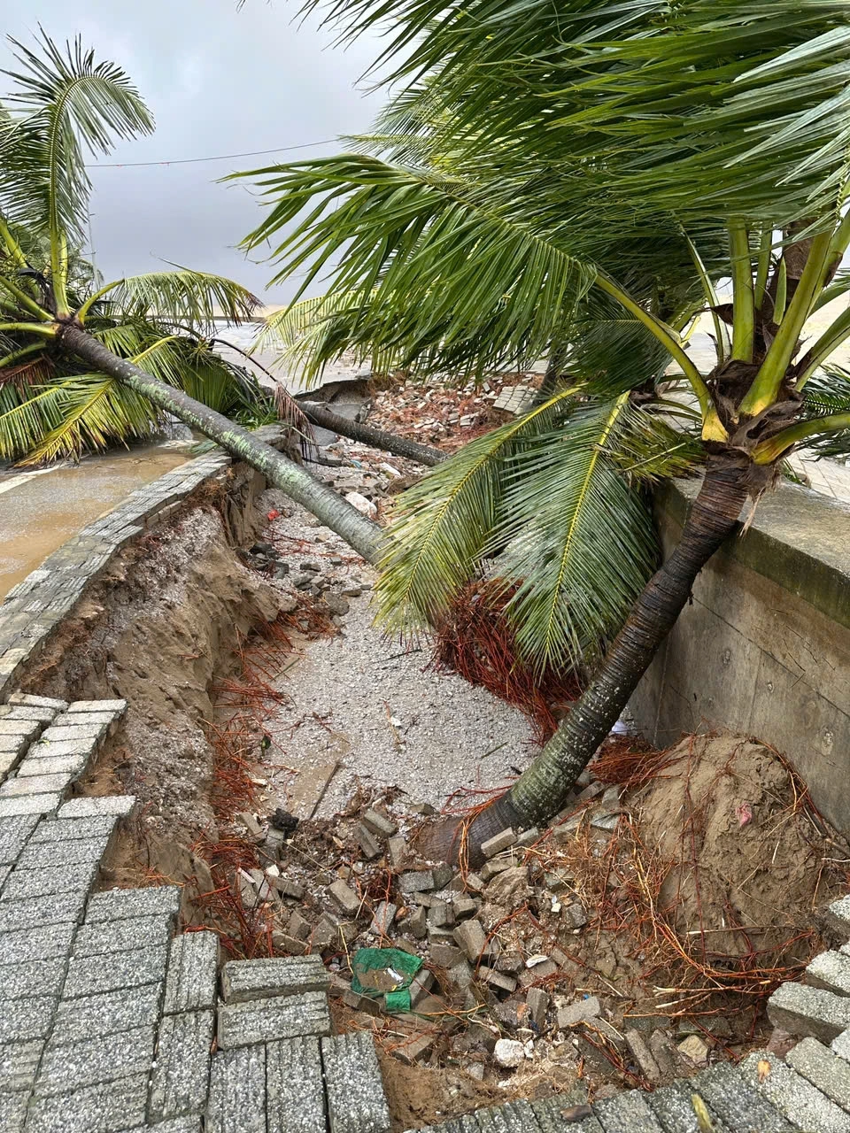 Do ảnh hưởng của hoàn lưu bão số 5, mưa lớn kéo dài, triều cường lên cao, sóng biển mạnh dẫn đến bờ kè, tường bao bị sụt lún, nứt, gãy tiềm ẩn rủi ro cho tính mạng, tài sản của người dân khi mùa mưa bão 2025 cận kề
