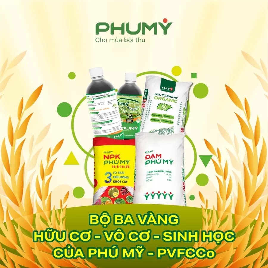 1753755684-bo-ba-vang-cua-phu-myjpg.jpg