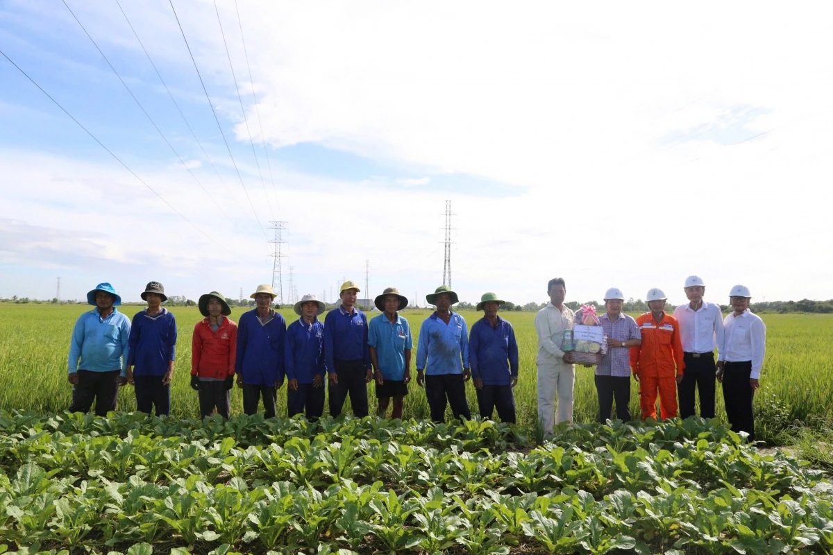 Ngày 1/9, lãnh đạo Công ty Điện lực TP. Cần Thơ thăm và động viên cán bộ, công nhân đang thi công xuyên lễ trên công trường Dự án Đường dây 110kV Trần Đề- trạm 220kV Sóc Trăng