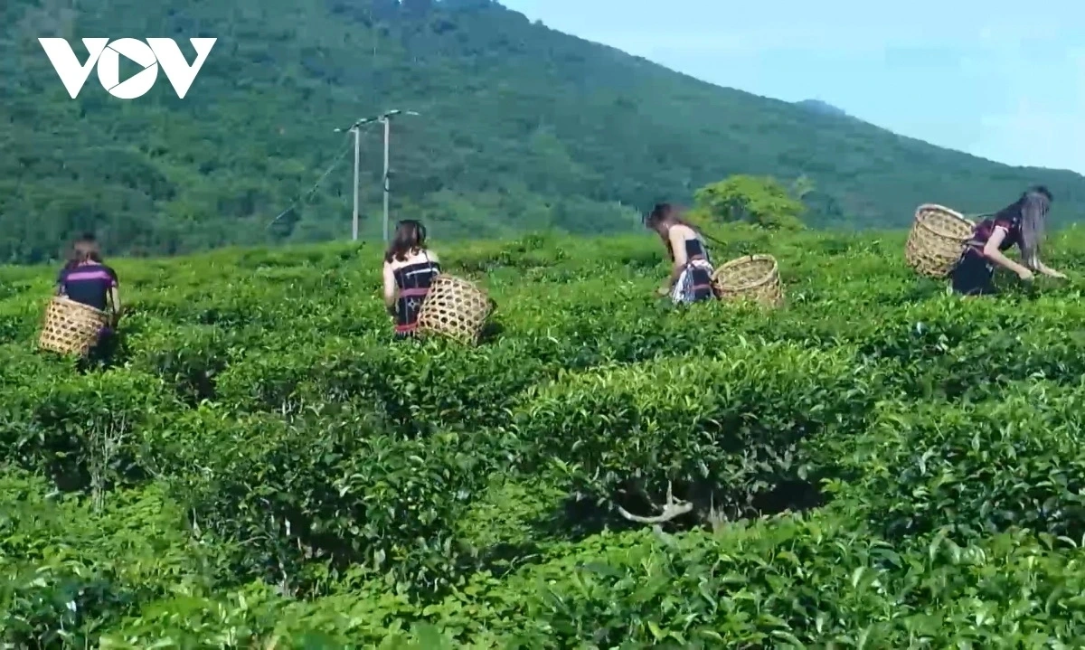 Công tác truyền thông chính sách ngày càng hiệu quả trong đời sống đồng bào dân tộc thiểu số