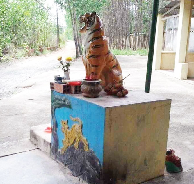 Một ngôi miếu nhỏ ven đường ở ấp Bình Ý, xã Tân Bình, huyện Vĩnh Cửu, tỉnh Đồng Nai, người dân dựng thờ bức tượng hổ để tránh “Ông Ba Mươi” về quấy phá (Ảnh Báo Bình Dương)