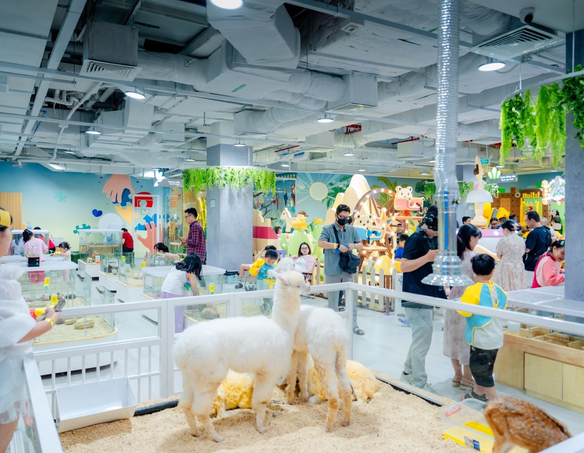 B-Zone – Vườn thú mini cùng nhiều góc chơi sáng tạo.