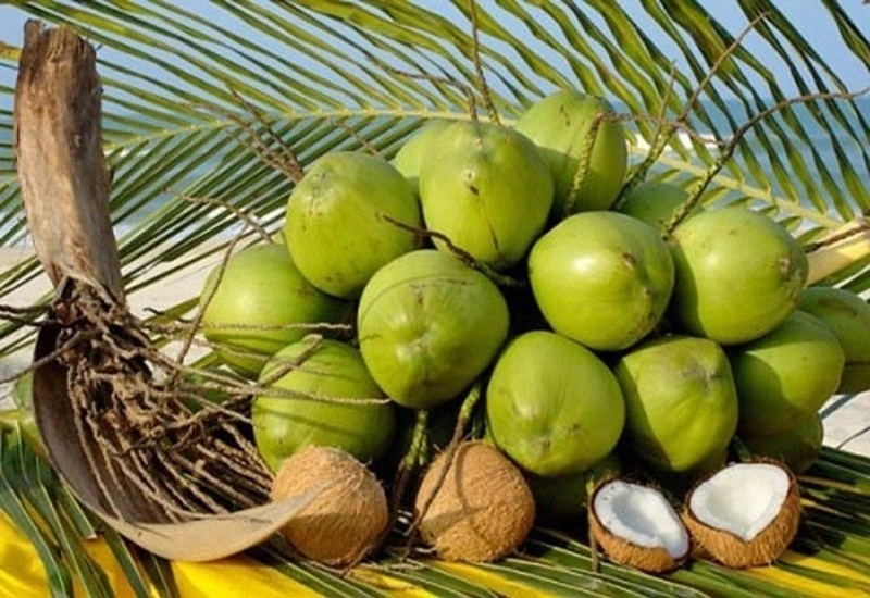 Ngành rau quả đã ghi nhận một cột mốc lịch sử mới.