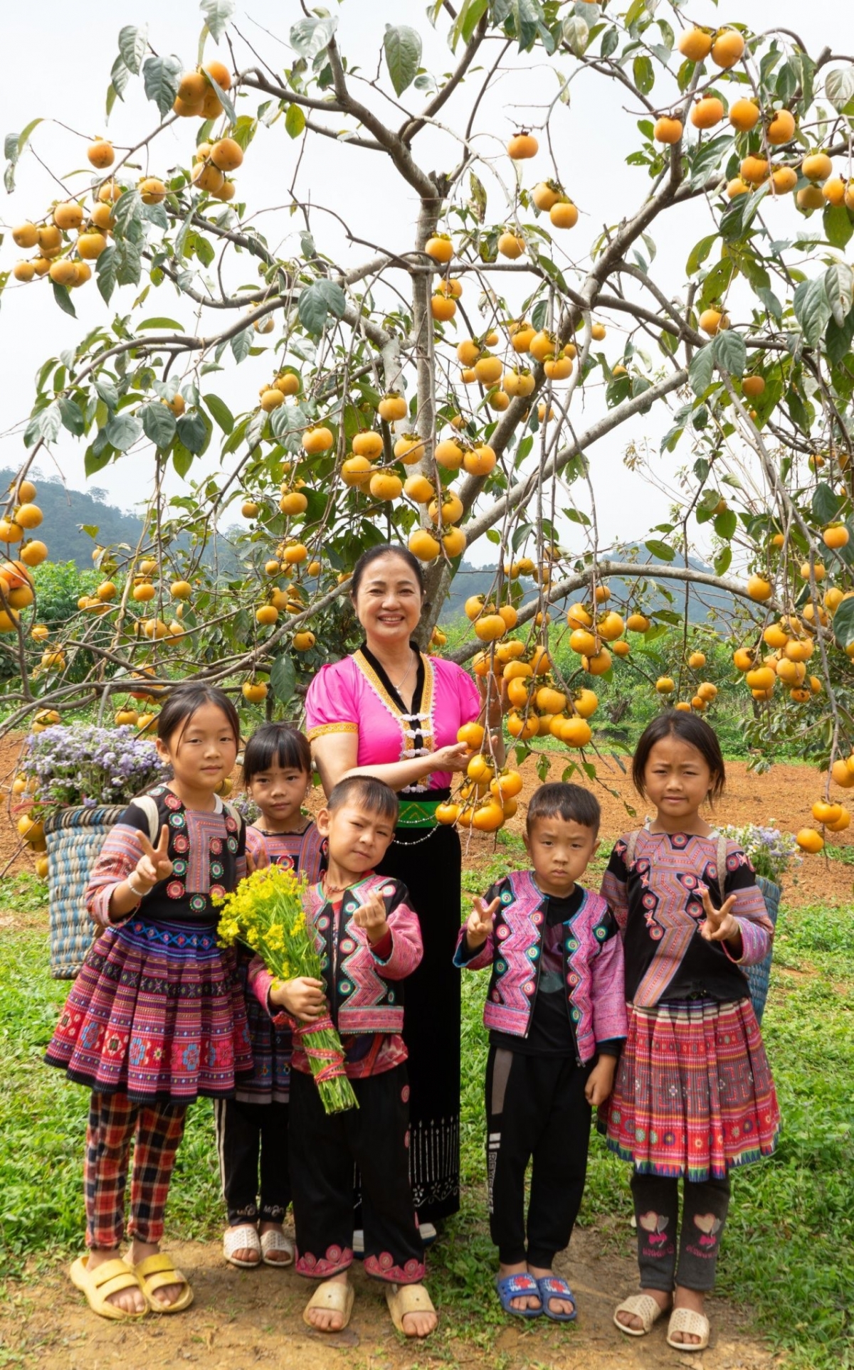 Dâu tây và hồng giòn Sơn La sẽ thu hoạch trong các tháng cuối năm