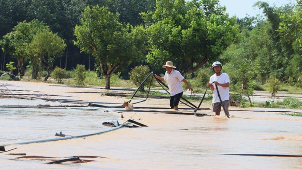 Ngập úng khiến hệ thống tưới tự động của nhà dân hư hỏng 