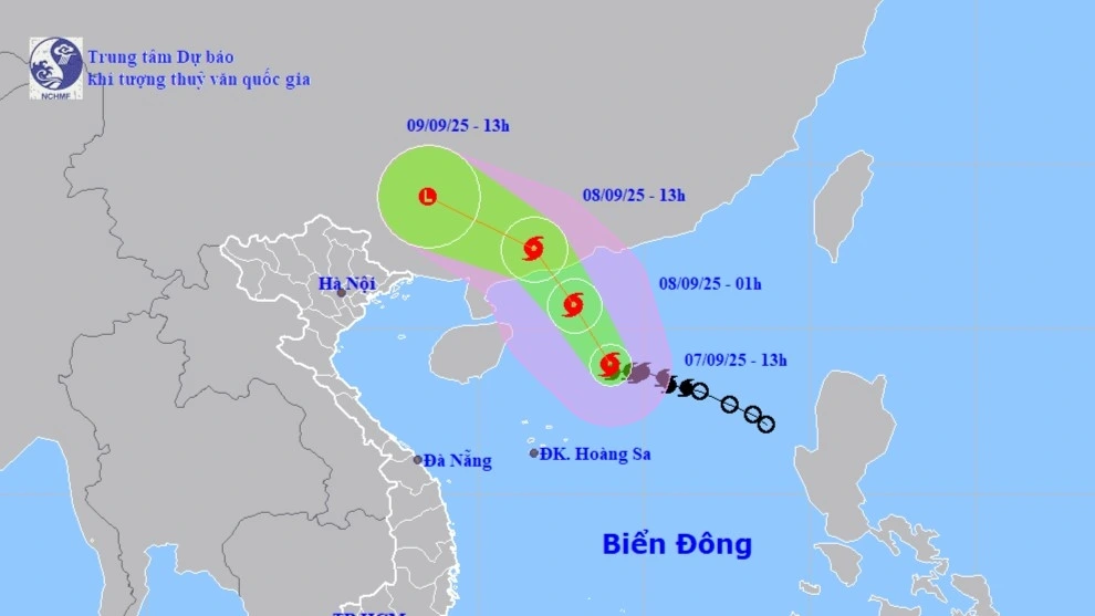 (Nguồn: nchmf)
