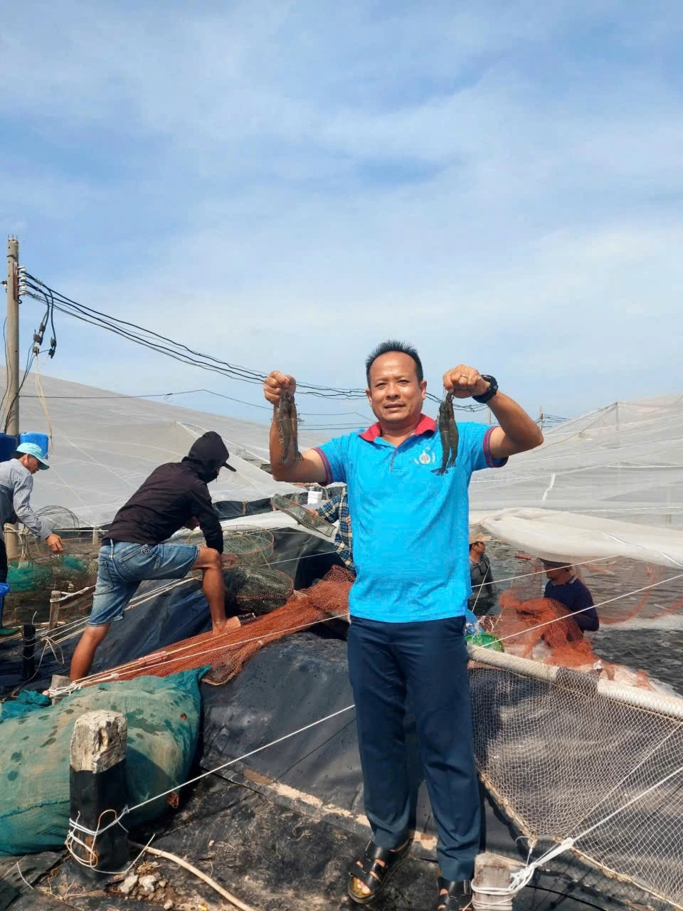 Ngư dân rất phấn khởi vì bán mỗi kg tôm thẻ có lãi khoảng 50.000 đồng