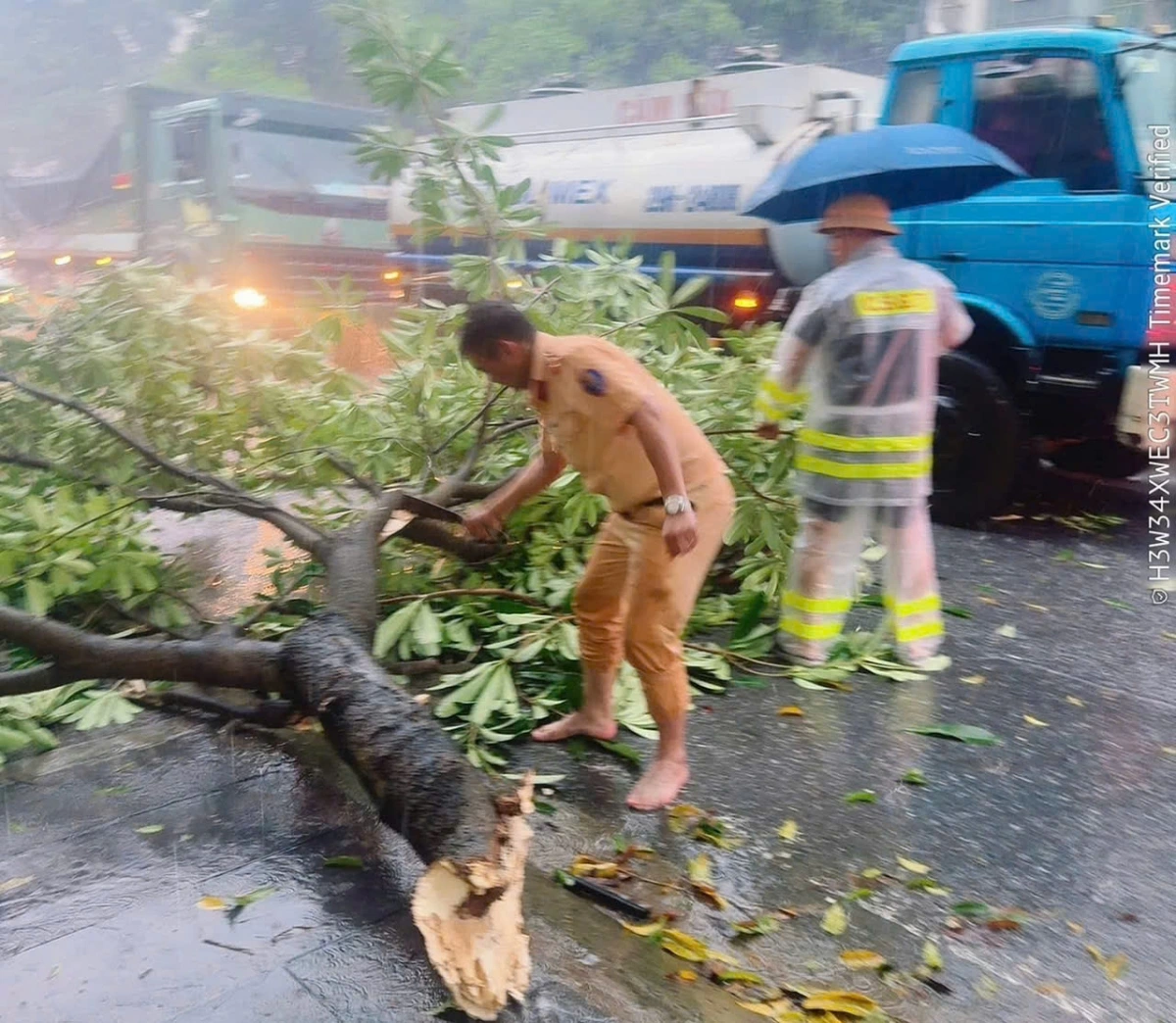 Cảnh sát giao thông hỗ trợ chặt cây đổ ra đường để đảm bảo giao thông.
