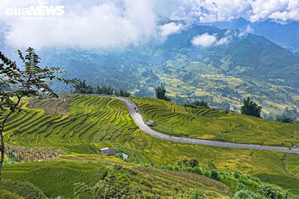 September ushers in the harvest season across Vietnam’s northern highlands, transforming the scenery into breathtaking, picture-perfect landscapes.