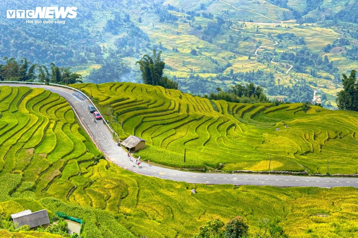Renowned as the northwestern region’s most beautiful terraced fields, Y Ty has seen a surge of visitors coming to marvel at the rare harmony of nature and human craftsmanship.
