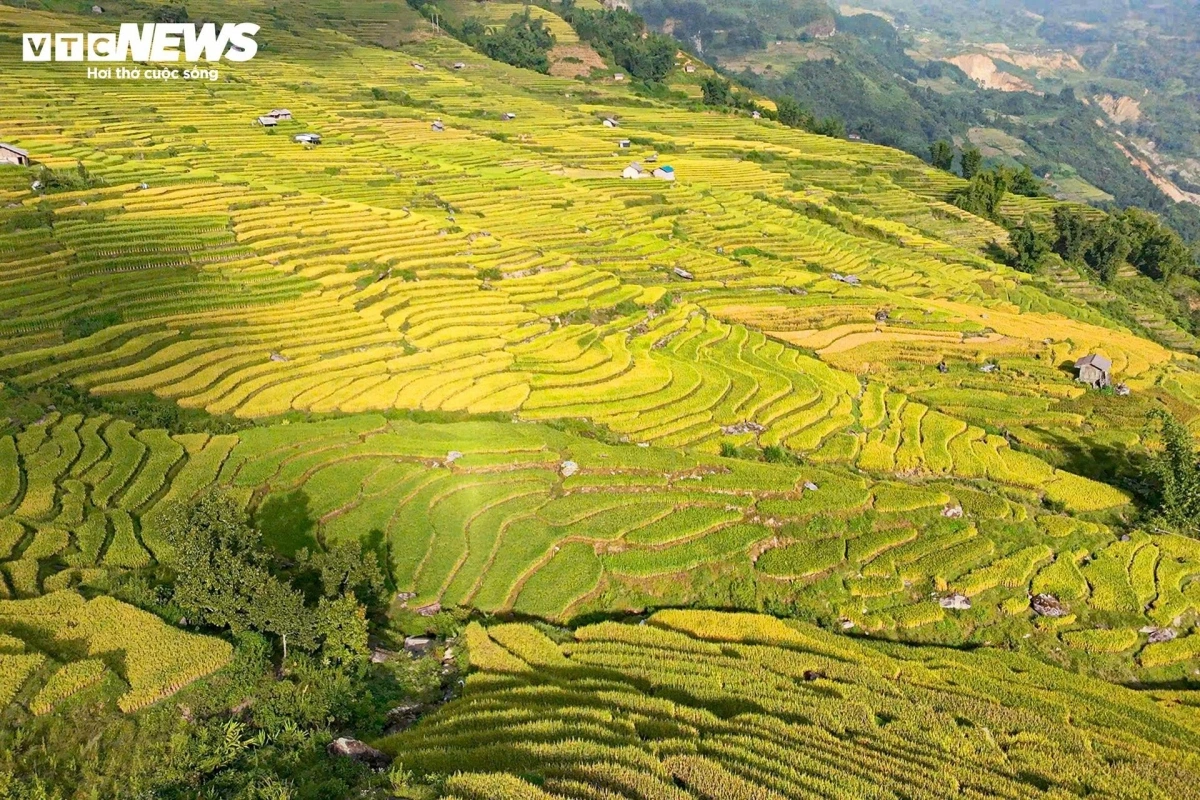 September offers visitors the chance to admire the untouched splendor of terraced fields at their peak harvest.