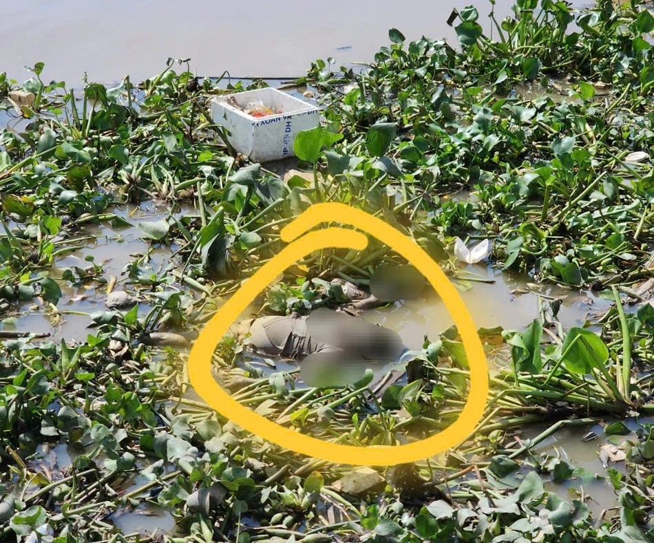 Thi thể nổi trôi trên sông Bảo Định, thuộc phường Đạo Thạnh chưa rõ danh tính và nguyên nhân tử vong