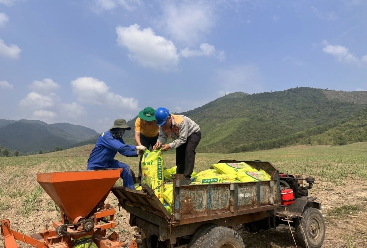 Khắp các vùng miền, đội ngũ cán bộ thị trường – kỹ sư nông nghiệp của PVFCCo - Phú Mỹ vẫn ngày ngày có mặt trên ruộng đồng