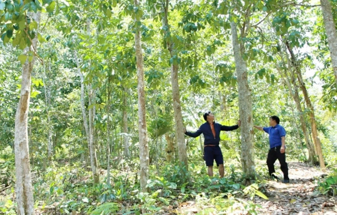 Người đân được hỗ trợ kỹ thuật trồng và chăm sóc cây đúng kỹ thuật