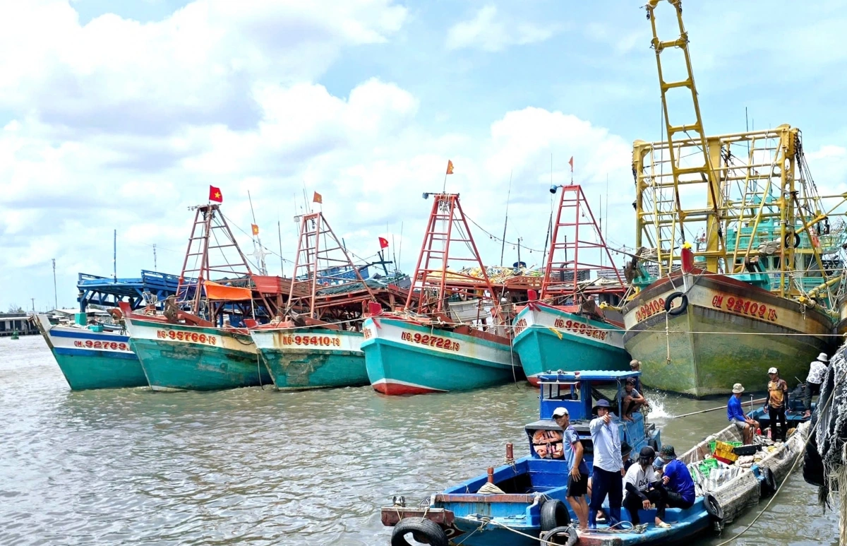 Xã Sông Đốc có lượng tàu cá lớn nhất tỉnh Cà Mau