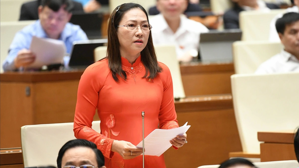 Đại biểu Nguyễn Thị Yến Nhi (Đoàn Vĩnh Long)