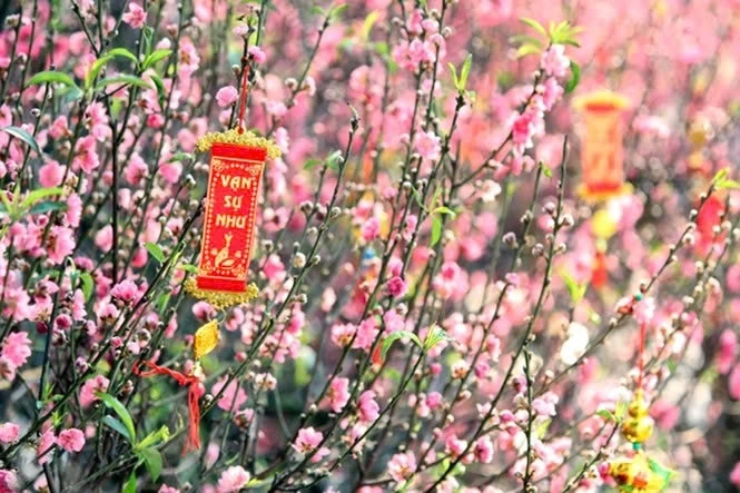 Lịch nghỉ Tết Nguyên đán năm 2026 cho cán bộ, công chức, viên chức và NLĐ (Ảnh minh họa)