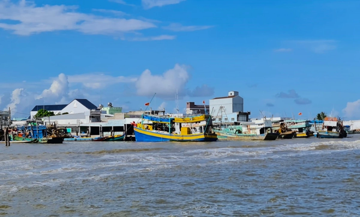 Bên cạnh việc quản lý tàu cá, tỉnh Cà Mau cũng đang tăng cường xử lý các vi phạm và truy xuất nguồn gốc thủy sản