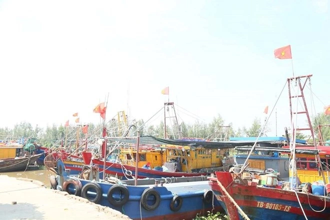 Hưng Yên triển khai lệnh cấm biển, bảo đảm an toàn cho ngư dân trước bão số 11. Ảnh: Cổng TTĐT tỉnh Hưng Yên